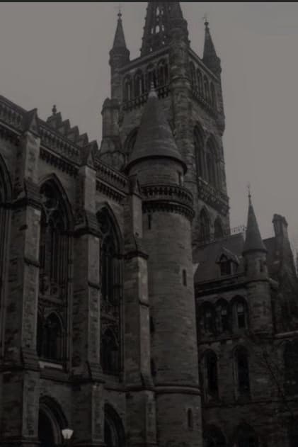Vampire Academy